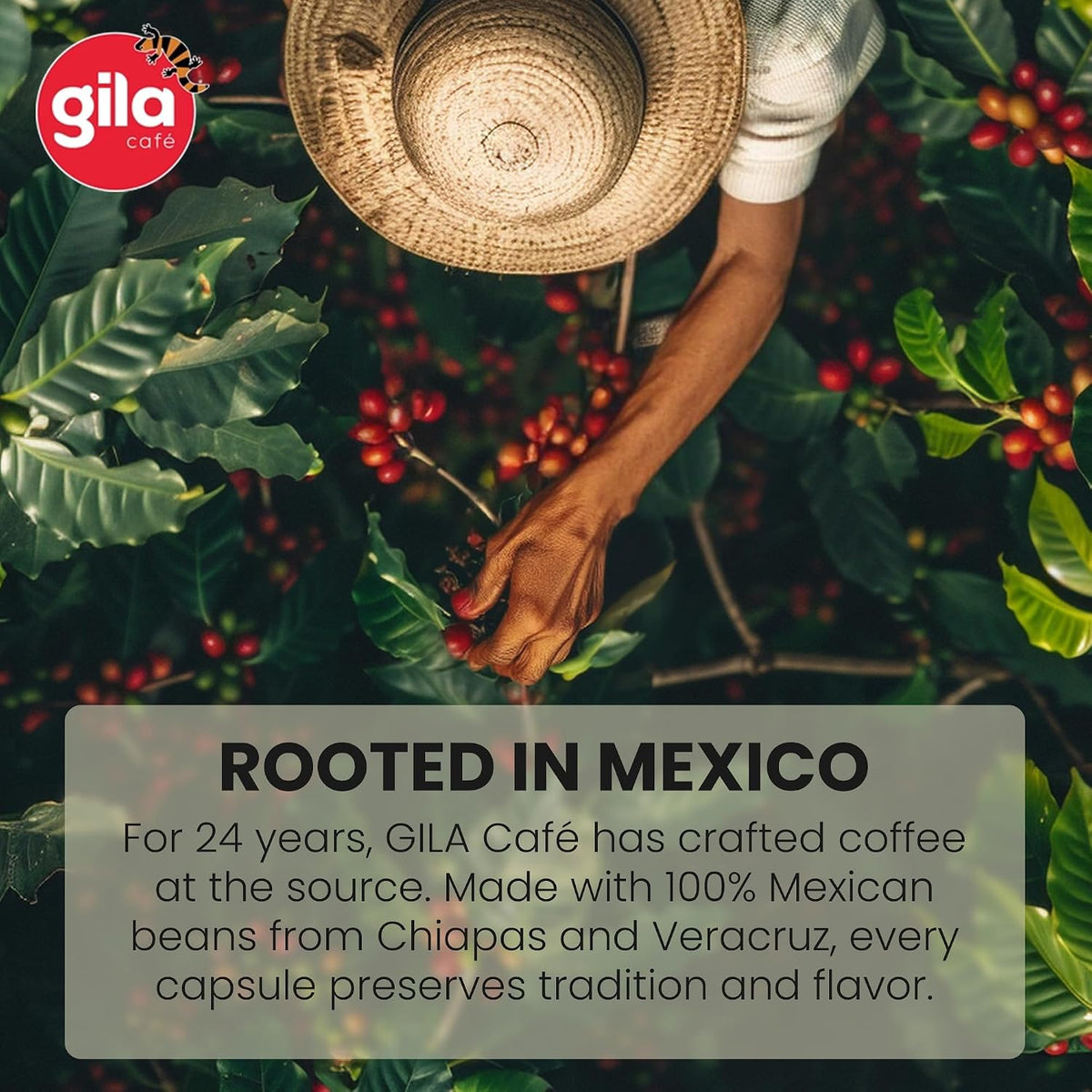 gila cafe Mexico Coffee Capsules, Nespresso Original Line, Dark Roast, 60ct