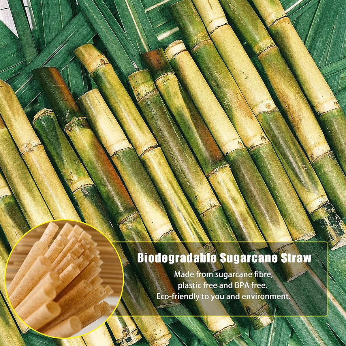 5 Inch 600pcs Cocktail Straws Made from Sugarcane Fiber Plastic-free A Sturdy Short Drinking Straws for Hot and Cold Drinks Not Foggy Packed by 200 Count per box(3 packs)