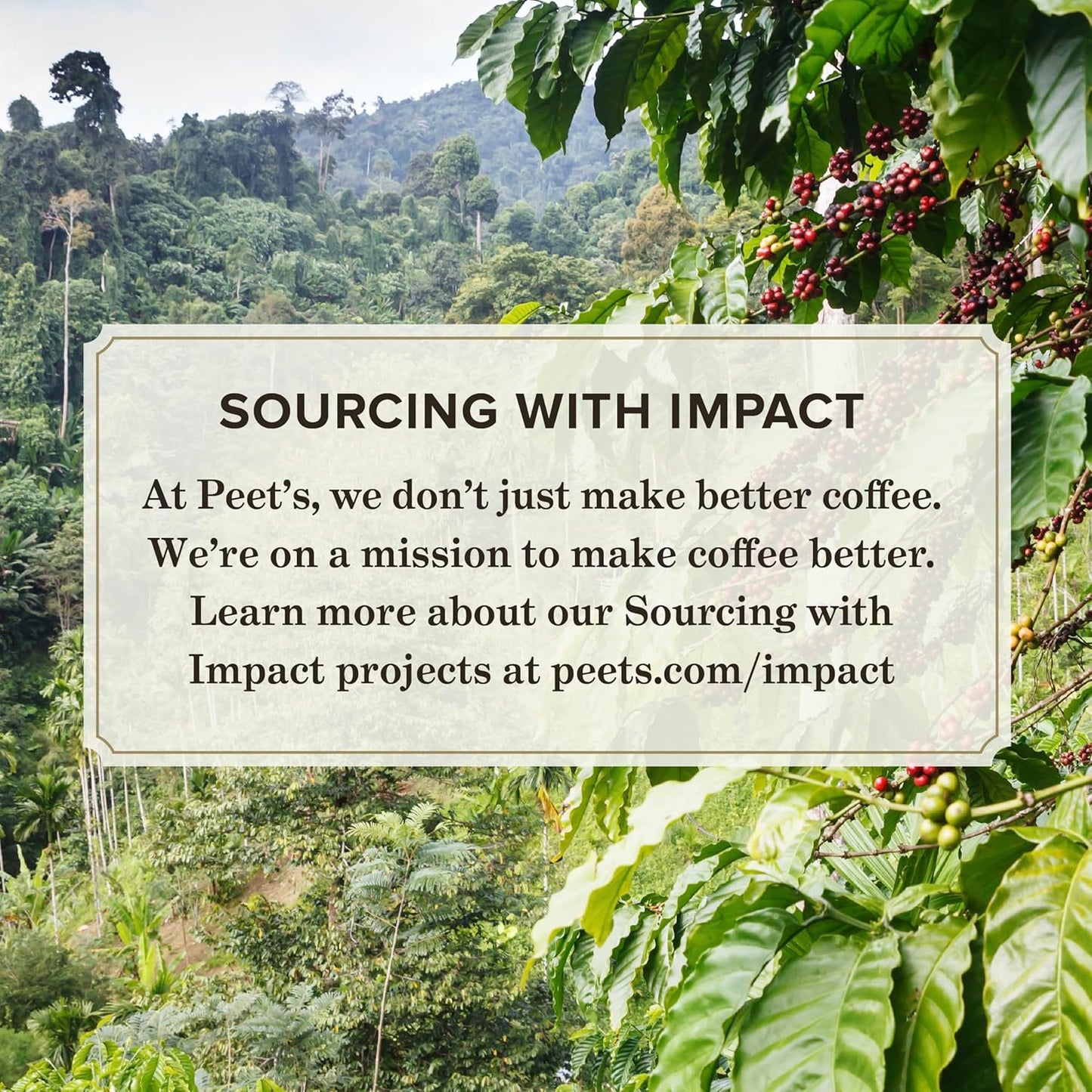 Peet's Coffee, Dark Roast Keurig K-Cup Pods - French Roast 54 Count (1 Box of 54 K-Cup Pods)
