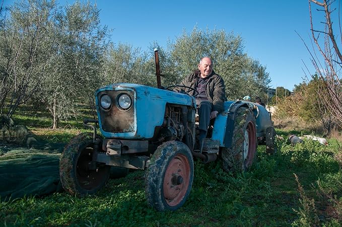 Mr. Papou's | Extra Virgin Olive Oil | First Cold Pressed | Family Owned | Harvested in Greece | 3 Liter - 101.4 fl oz (3 Liter)