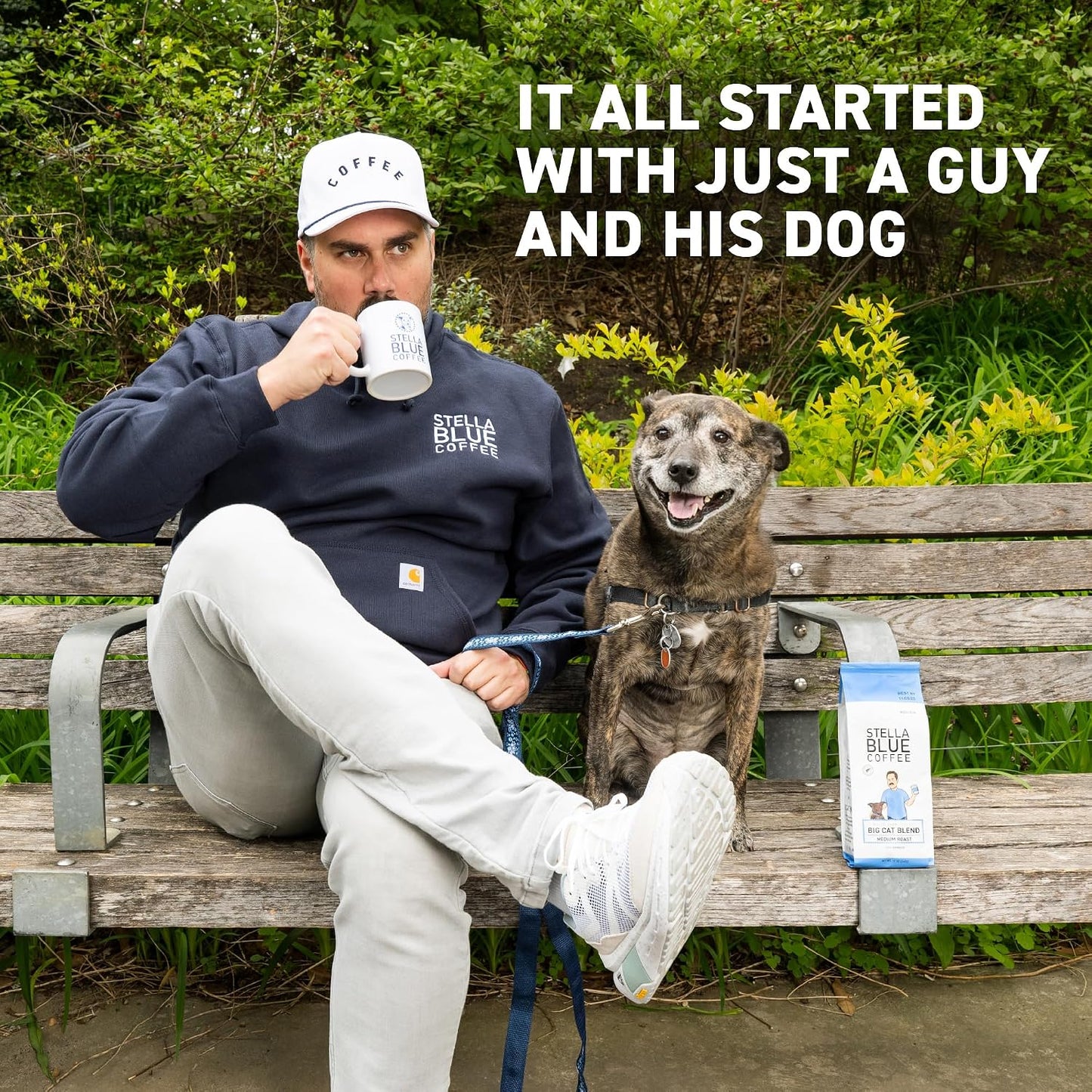 Cold Brew Coffee Bags, Blueberry Muffin, Medium Roast, Ground Coffee | Stella Blue Coffee, 6 Packets, Arabica, Rainforest Alliance Certified, Smooth Bold Finish, Ethically Sourced, Makes 24 Cups
