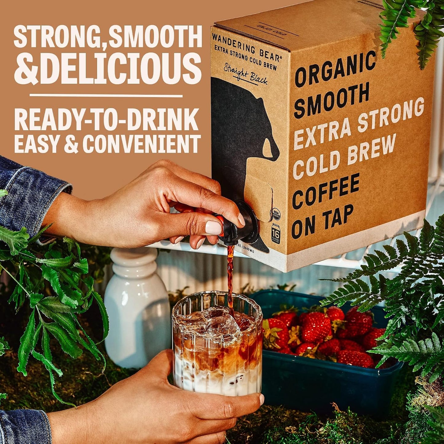 Wandering Bear Straight Black Organic Cold Brew Coffee - 11 fl oz, 12 Pack