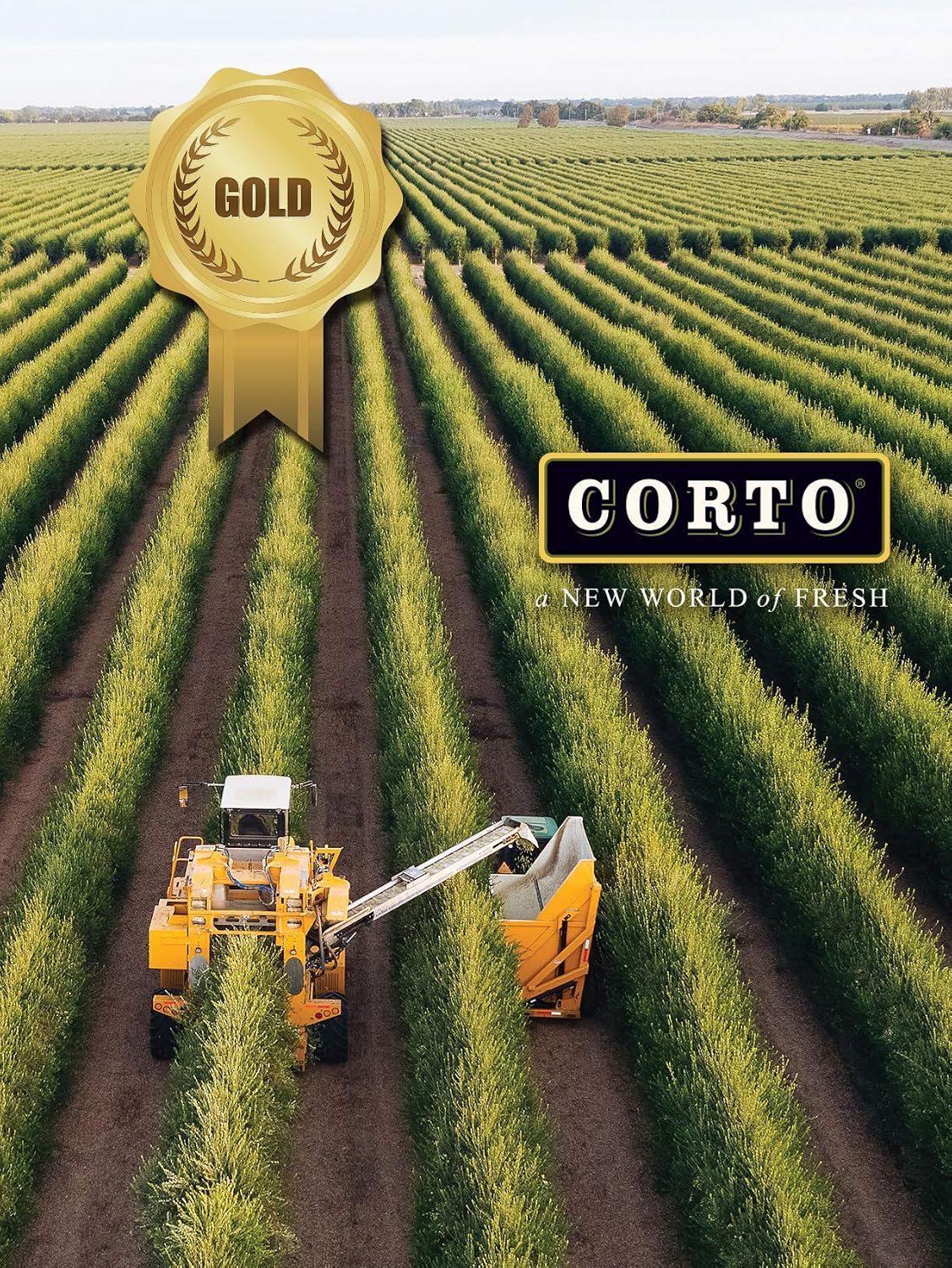 Corto TRULY Extra Virgin Olive Oil, 100% California, Cold Extracted 17 oz