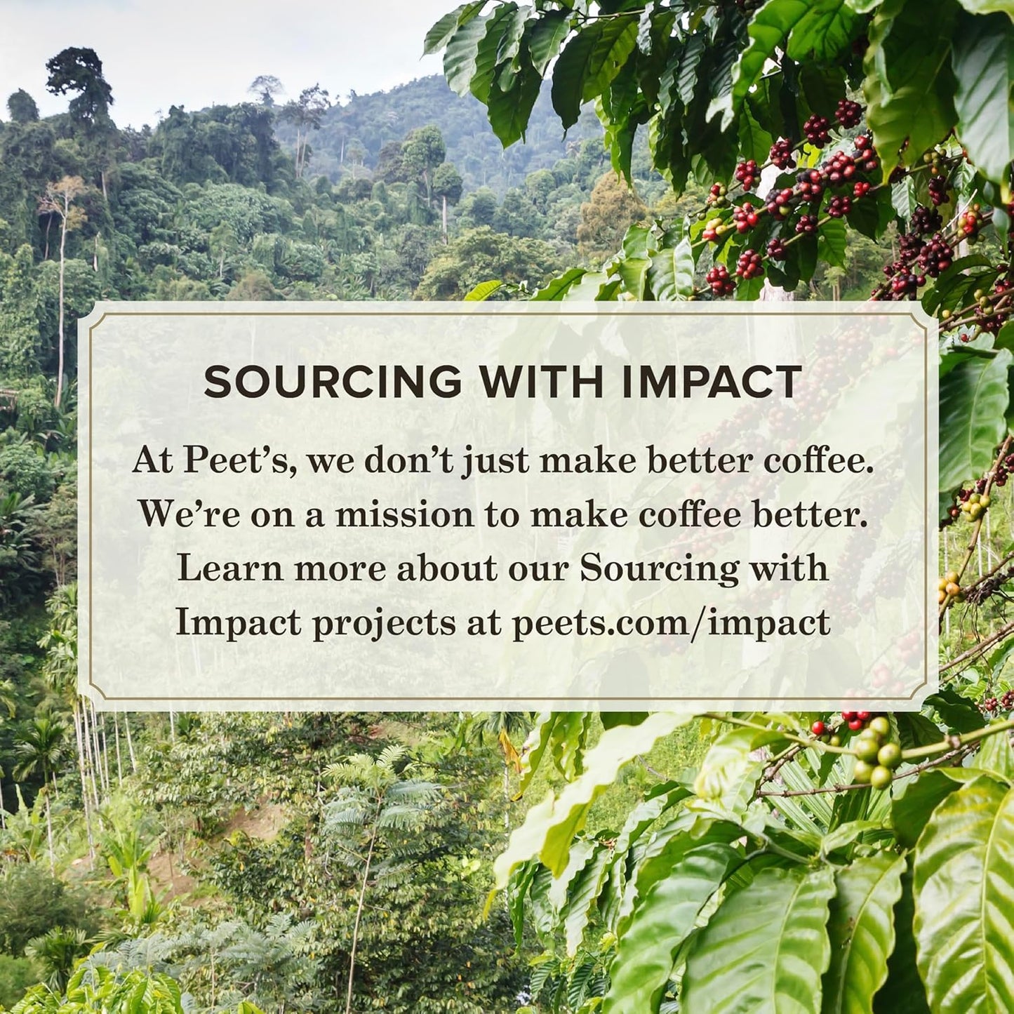 Peet's Coffee, USDA Organic Dark Roast Ground Coffee - French Roast 18 Ounce Bag