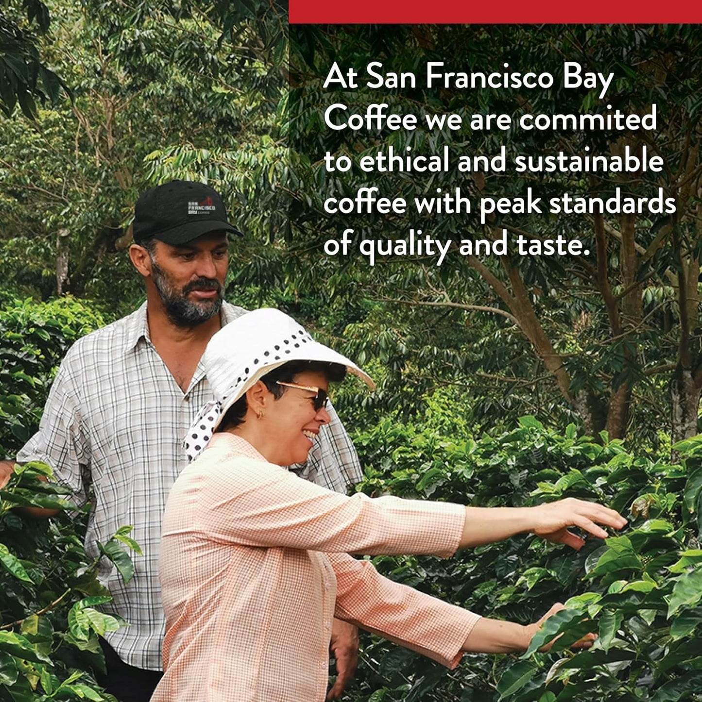 San Francisco Bay Coffee - Medium-Dark Roast - Fog Chaser (120 ct) - Single Serve Coffee Pods, Commercially Compostable, K Cup Compatible