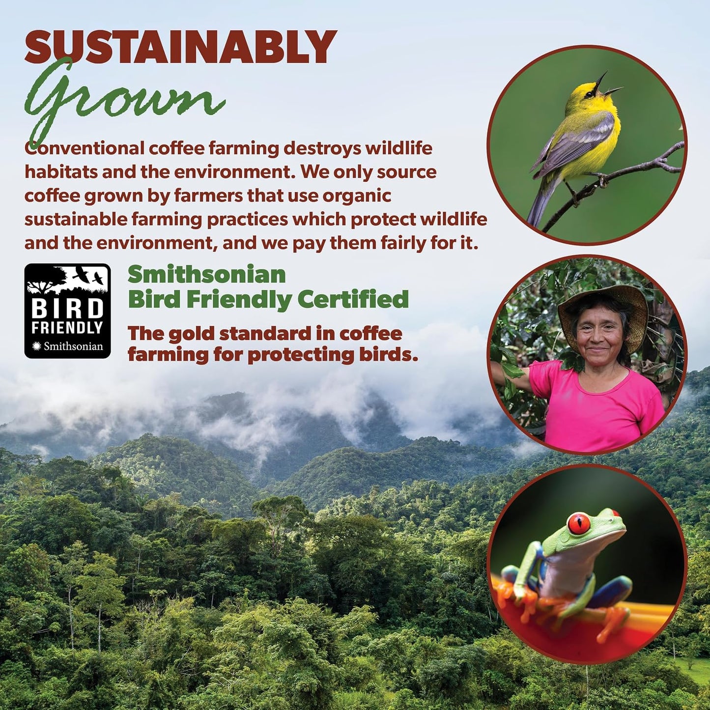 Java Planet Low Acid Organic Colombian Coffee Beans, Medium Dark Roast 32oz