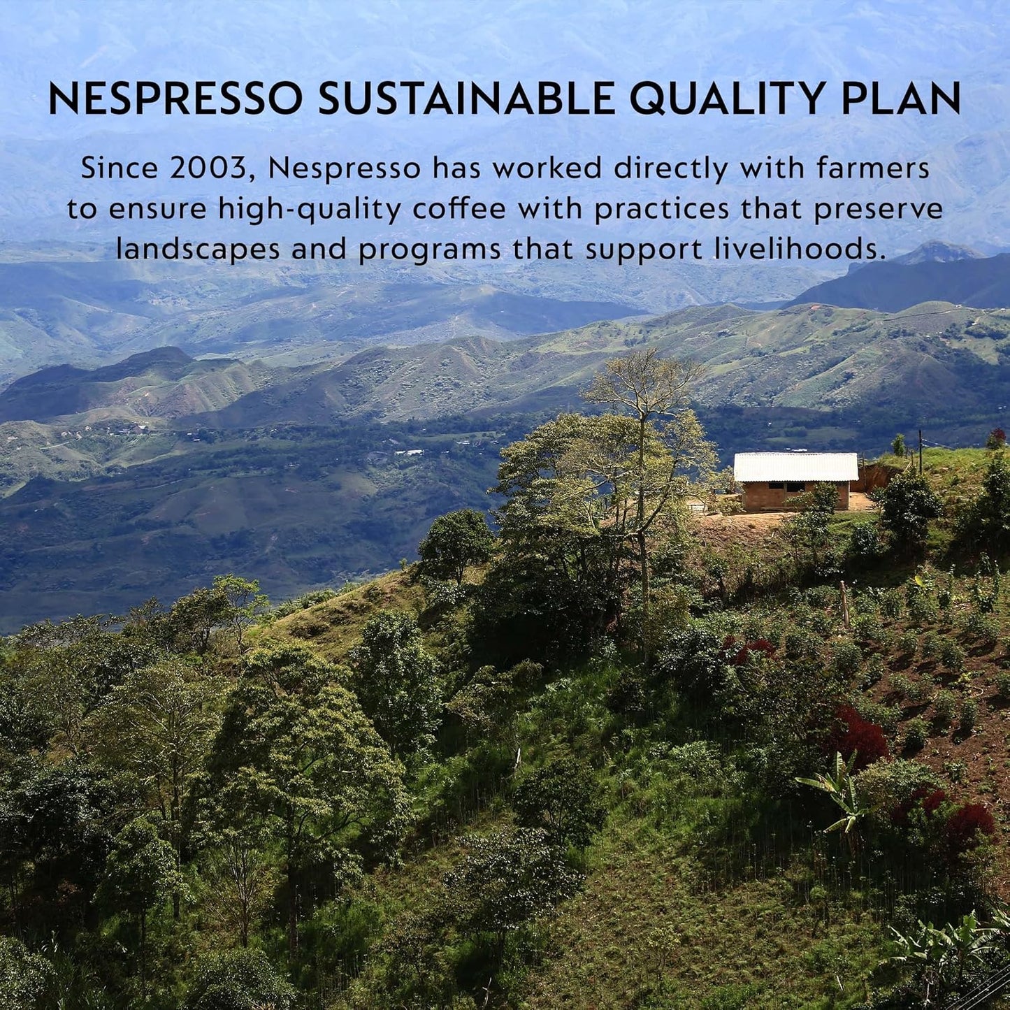 Nespresso Original, Freddo Delicato, 50-Count Coffee Pods | Capsules Pack of 1 Brews 1.35oz.