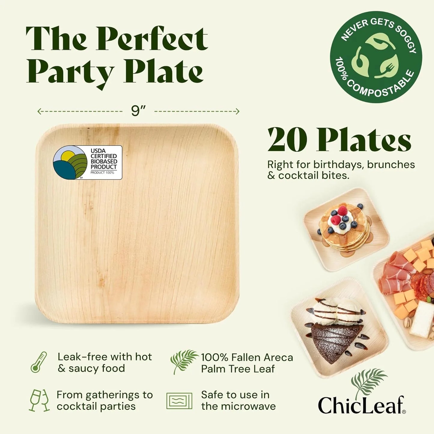 Eco-friendly compostable palm leaf plates wedding appetizer serving 20 pack